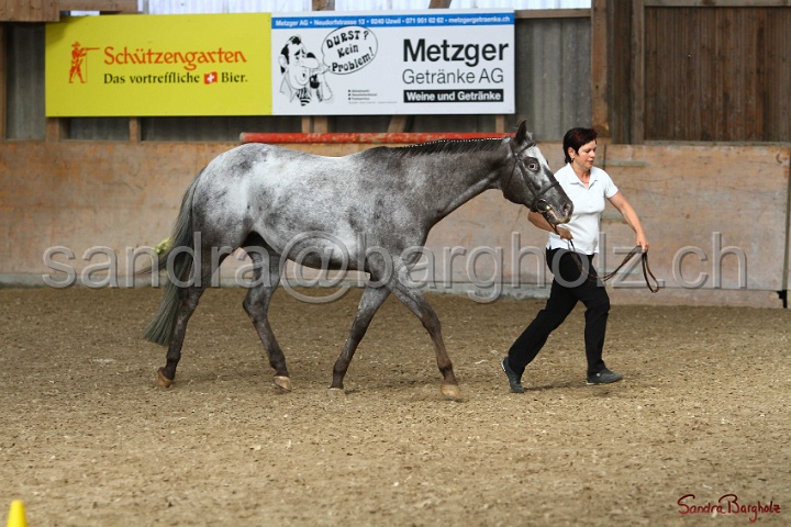 24-ApHC HIH_036.jpg